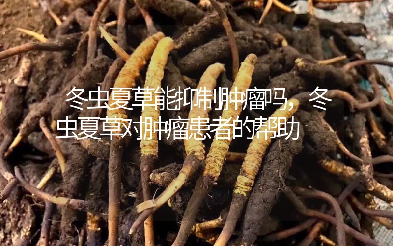 冬蟲夏草能抑制腫瘤嗎？冬蟲夏草對(duì)腫瘤患者的幫助