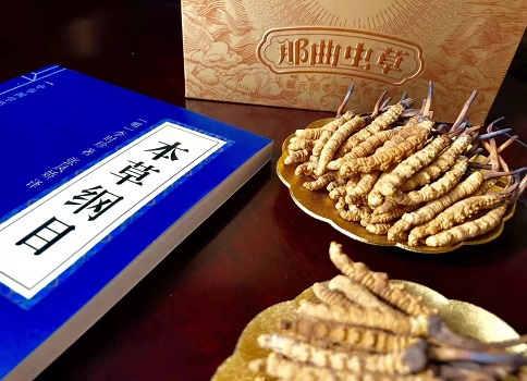 冬蟲(chóng)夏草真就那么好嗎？它的主要功能是什么呀