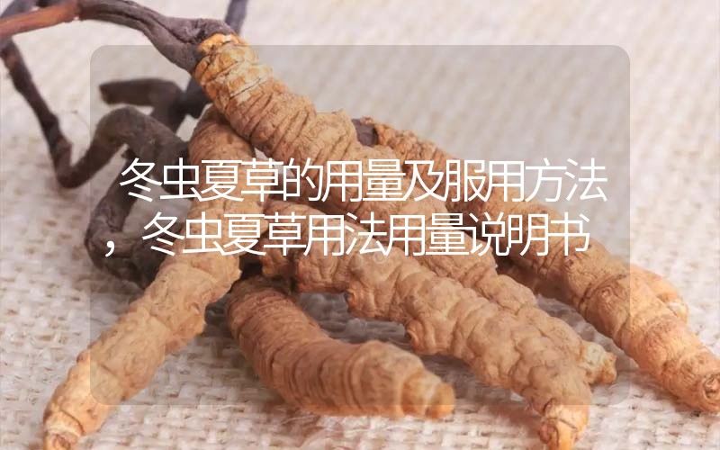 冬蟲(chóng)夏草的用量及服用方法，冬蟲(chóng)夏草用法用量