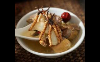 冬蟲夏草怎么煲湯？