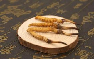 冬蟲夏草有保質(zhì)期嗎？