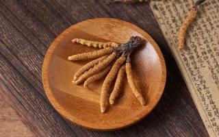 冬蟲(chóng)夏草與冬蟲(chóng)草：如何區(qū)分它們？