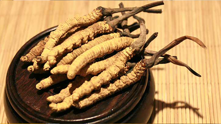 未來冬蟲夏草會漲價嗎？