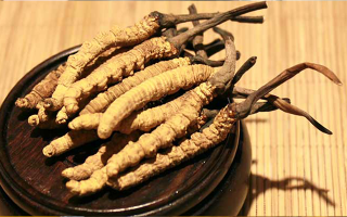 未來冬蟲夏草會漲價嗎？
