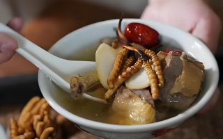 冬蟲夏草搭配有道，滋養(yǎng)肺部效果妙