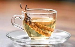 一杯蟲(chóng)草水，健康新滋味：冬蟲(chóng)夏草泡水喝的奇妙功效