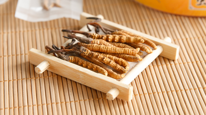 冬蟲夏草一般多少錢一斤？?jī)r(jià)格背后的價(jià)值解析
