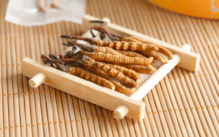 冬蟲夏草一般多少錢一斤？?jī)r(jià)格背后的價(jià)值解析