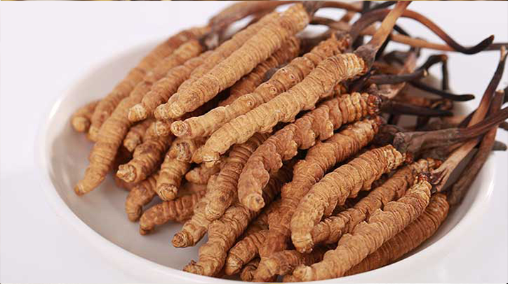 冬蟲夏草燉水鴨，搭配這些食材更滋補(bǔ)