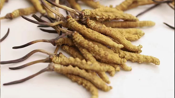 冬蟲(chóng)夏草陳皮雞瘦肉湯