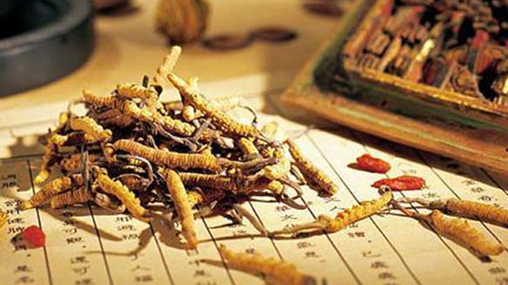 老人可以喝冬蟲夏草湯嗎？科學(xué)分析與飲用指南