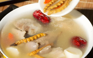 老人可以喝冬蟲夏草茶嗎？科學(xué)飲用的養(yǎng)生指南