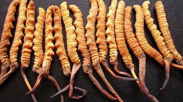 同仁堂<a href=http://www.xylsxs.com/jiage/ target=_blank class=infotextkey>冬蟲夏草價(jià)格</a>解析：品質(zhì)、規(guī)格與市場的交織