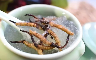 十根冬蟲夏草能泡幾斤酒？泡酒比例與細(xì)節(jié)指南