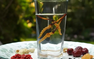 人參配蟲草泡酒，泡多久才好喝？咱跟你說實在的